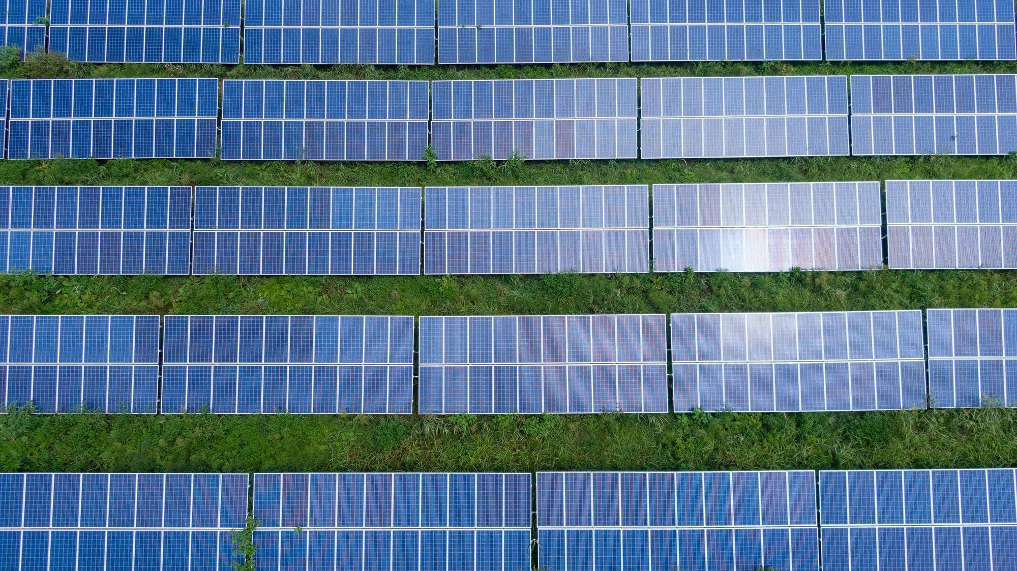 A large-scale commercial solar array — the bigger projects AEM Energy manages end-to-end